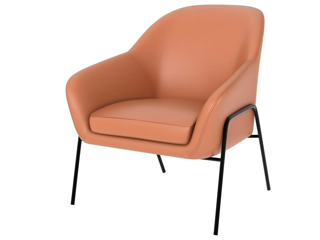 Fauteuil Terracotta Aubin En Cuir Synthétique 3 Fauteuil Terracotta Aubin En Cuir Synthétique