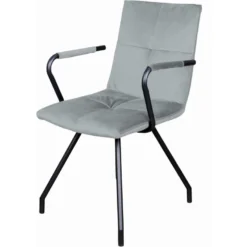 Fauteuils Eaden 225 (lot De 2)