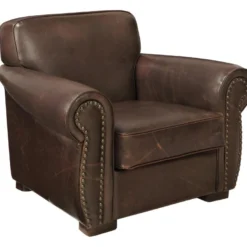 Fauteuil En Cuir HECTOR - Marron -Promos Fauteora Magasin fauteuil 160122