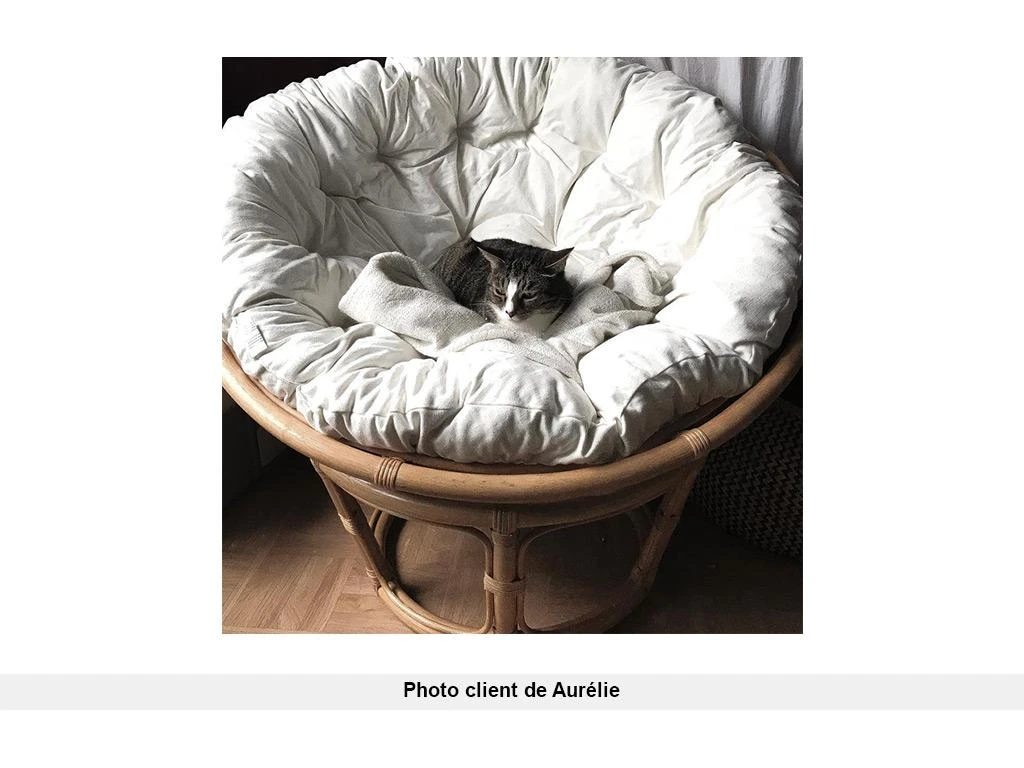 Fauteuil Rond En Rotin AKAROA - Coloris Miel 9 Fauteuil Rond En Rotin AKAROA - Coloris Miel – Image 7
