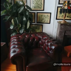 Fauteuil Chesterfield BRENTON 100% Cuir De Buffle - Marron Reflets Châtains -Promos Fauteora Magasin fauteuil 715471